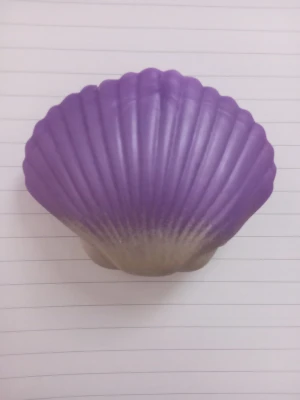 Stressleksak  - En stressleksak i form av en snäcka med lila ovansida och vit botten. Snäckan har en skimrande finish och är tillverkad i ett silikon liknande material. Den innehåller en snäck-formad boll med pärlor som man stoppar i snäckan för att känna och leka med. Ganska trevlig att leka med men är väl använd och detta syns. Köptes på Flying Tiger.