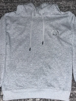 Grå hoodie från Christian Dior - Snygg ljusgrå hoodie från Christian Dior med broderad logga på bröstet. Klassisk känguruficka framtill och justerbar huva med dragsko. Tillverkad i mjuk bomull för skön känsla. Perfekt för en avslappnad och trendig look.