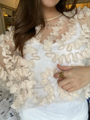 Beige volangblus med mesh - Säljer denna unika blusen med transparent mesh och stora volangdetaljer över hela toppen❣️(obs linnet ingår ej :))