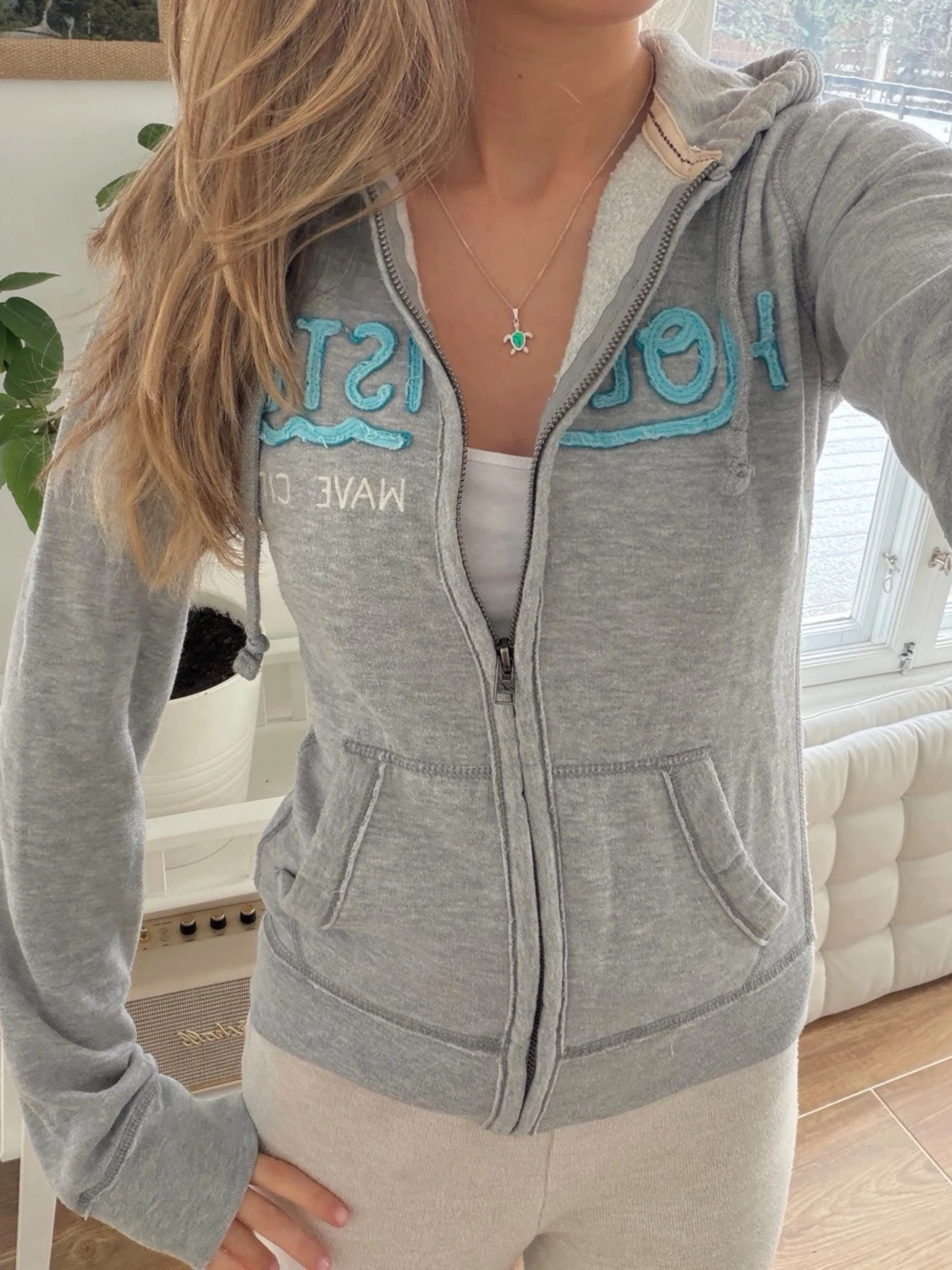 Hollister zip