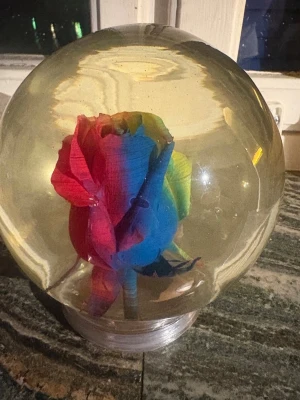 Dekorativ glaskula med regnbågsfärgad ros  - Vacker glaskula med en innesluten regnbågsfärgad ros. Perfekt som dekoration i hemmet eller som en unik present. Är ungefär 17 cm hög och har en diameter på 14 cm. Hämtas på Södermalm i Stockholm eller skickas till dig. Du bestämmer. Maila mig vid frågor. Med vänlig hälsning, Fanny. 