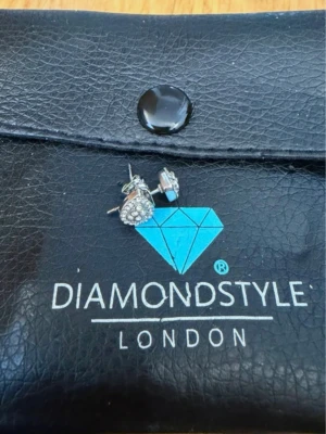 Örhängen med stenar - Örhängen med stenar, aldrig använda. Helt nya 💎 