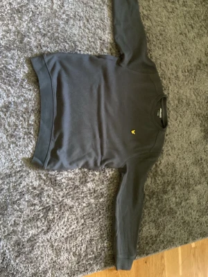 Mörkgrå sweatshirt från Lyle & Scott - Mörkgrå sweatshirt från Lyle & Scott med klassisk rund halsringning och lång ärm. Tröjan har en gul broderad logotyp på bröstet och är tillverkad i mjukt bomullsmaterial. Enkel och stilren design som passar till det mesta. Skriv gärna om ni har några funderingar 