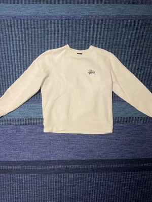 Vit sweatshirt från Stüssy - Sweatshirt Stussy, Mycket bra skick 