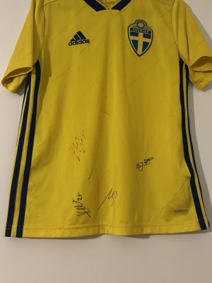 Svensk landslagströja Adidas gul - Tröjan är L för barn!!!!