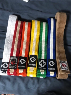 Färgglada bälten från Budo-Nord - Säljer ett set med bälten från Budo-Nord i olika färger: vitt, rött, orange, gult, grönt, blått och brunt. Perfekt för kampsportsträning och progression inom till exempel judo eller karate.