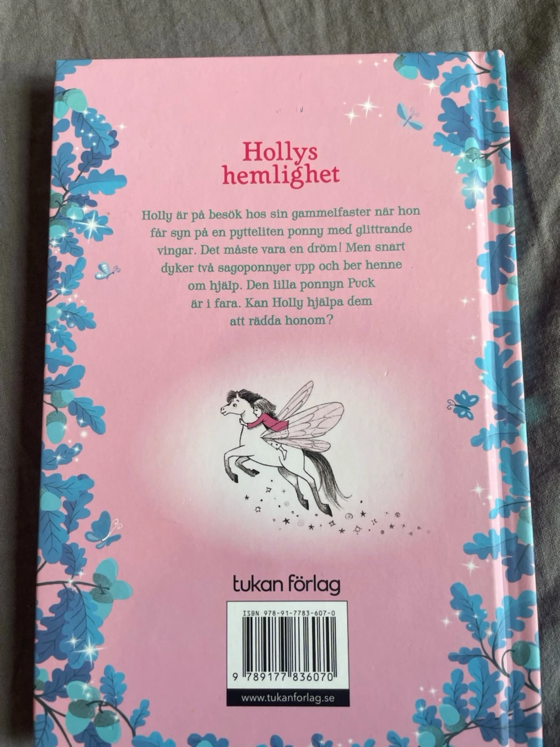 Den förtrollade ponnyn: Hollys hemlighet - 1