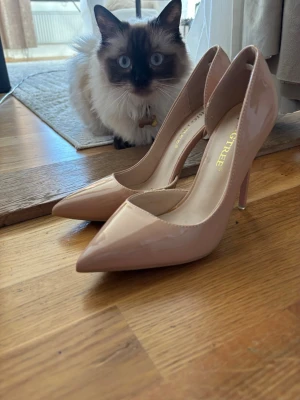 Nude lackpumps från Citytree - Säljer ett par snygga nude-färgade klackar från bigtree med spetsig tå och klack. Skorna är i glansigt lackmaterial och har en klassisk, elegant form som passar till många olika outfits. Perfekta för dig som vill ha stilrena och trendiga klackar.