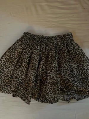 leopardmönstrad kortkjol  - kjolen är från Zara 