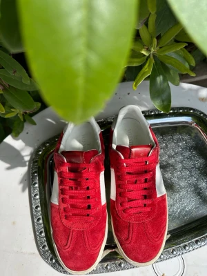 Röda Valentino flycrews - Säljer nu ett par väldigt snygga röda Valentino flycrews där mockan nästan är i nyskick. Däremot finns det på sulan sprickor på vardera sida som ni kan se på bilderna. Det är nu åtgärdat med limm och är stabilt men kan behöva underhållas. Dessa skor är väldigt exklusiva och tillverkas inte längre vilket gör att efterfrågan är hög. Nyrpris ligger runt +8000 men jag säljer endast för 2599kr(priset är diskuterbart). Alla nitar är kvar🔥🔥. Tveka inte på att höra av er ifall ni har extra frågor/bilder