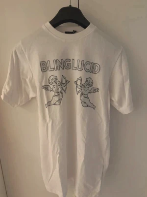 Vit rhinestone t shirt - En vit rhinestone t shirt från blinglucid som är i super bra skick och väldigt stilren