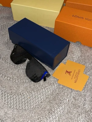 Luis Vuitton glasögon  - Allt tillkommer i bilderna box, mina väska, kort 