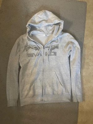 Ljusgrå Rhinestone zip från BVALDI - Snygg ljusgrå hoodie från BVALDI med dragkedja och huva. Säljer den då den har blivit för liten och kort för mig, har använt den ett fåtal gånger så i mycket bra skick. Nypris: 1099kr