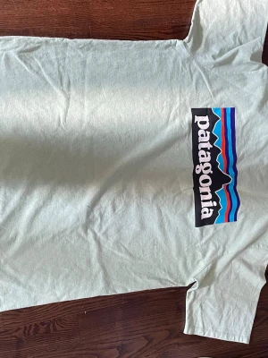 Ljusgrön Patagonia t-shirt - Snygg ljusgrön t-shirt från Patagonia med klassisk logga i färg på ryggen och liten logga fram. T-shirten har rund hals och korta ärmar, perfekt för en avslappnad stil. Tillverkad i mjuk bomull för skön känsla hela dagen.