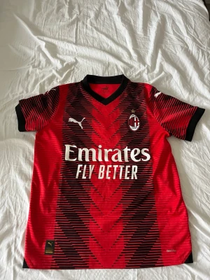 AC Milan matchtröja Puma röd/svart - Snygg AC Milan matchtröja från Puma i rött och svart med klubbmärke på bröstet och sponsorloggor. Tröjan har korta ärmar, V-ringning och är tillverkad i ett lätt, ventilerande material perfekt för fotboll eller träning.