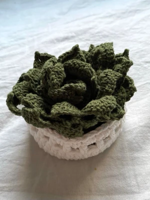 Virkade coasters med korg - Ett virkat set med fem coasters samt en vit virkad korg. Samlade i den tillhörande korgen liknar underläggen en succulent. Passar perfekt både för att skydda dina ytor och som en gullig inredningsdetalj. Virkade i 100% bomull och kommer från ett djur- och rökfritt hem. Mått enligt bild 😊