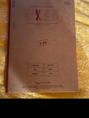 Stray Kids Maxident Mini Album - Säljer ett Stray Kids Maxident mini album med brun kartongliknande omslag och röda detaljer. Albumet har tryckta texter och tabeller på både fram- och baksidan. Perfekt för dig som samlar på K-pop merch eller vill ha något unikt i bokhyllan.