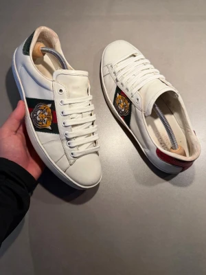 Gucci Skor  - ‼️VI TAR INGA BYTEN‼️ Gucci ”Ace” Sneakers | Skick: 8/10 | Storlek UK 6.5 motsvarar 41.5-42 EU  | Tillkommer kort vid köp! | Frakt sker inom 24 timmar efter köp 📦💨 | Hör av dig vid minsta fråga eller fundering 💭