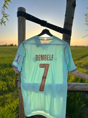 Frankrike Dembele matchtröja Nike - Ljusblå fotbollströja från Nike med Frankrikes landslagsmärke och nummer 7. På ryggen står det 'Dembele'. Tröjan har korta ärmar, rund hals och detaljer i rött och blått vid ärmslut. Perfekt för dig som älskar fotboll och vill stötta Frankrike.