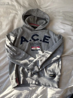 Grå hoodie från WHO'S A.C.E - Snygg grå hoodie från WHO'S A.C.E med broderad text 'A.C.E' i mörkblått på bröstet och tryckdetaljer. Huva med knappdetalj och mjukt foder. Perfekt för en avslappnad stil!😌