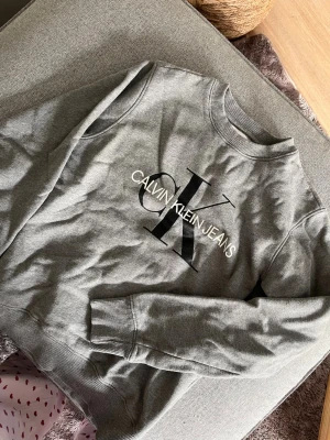 Grå sweatshirt från Calvin Klein Jeans - Snygg grå sweatshirt från Calvin Klein Jeans med stort CK-tryck och logga på bröstet. Tröjan har rund hals, långa ärmar och ribbade muddar vid ärmslut och nederkant. Tillverkad i mjukt bomullsmaterial för skön känsla och stilren look.