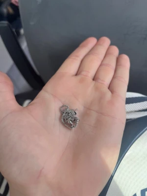 Silverfärgat halsband med lejonhänge - Snyggt halsband i silverfärg med ett detaljerat lejonhänge. Kedjan är tunn och smidig, perfekt för att ge din outfit en cool touch. Passar dig som gillar djurmotiv och vill ha något unikt runt halsen.