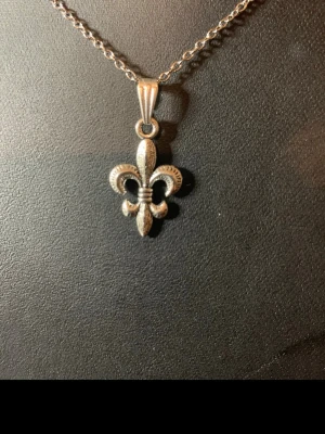 Silverhalsband med lilja-hänge - Snyggt halsband i silverfärg med ett detaljerat lilja-hänge, även kallat fleur-de-lis. Kedjan är tunn och smidig, och hänget har en klassisk, stilren design som passar till många olika looks. Perfekt för dig som gillar tidlösa accessoarer med en touch av elegans.