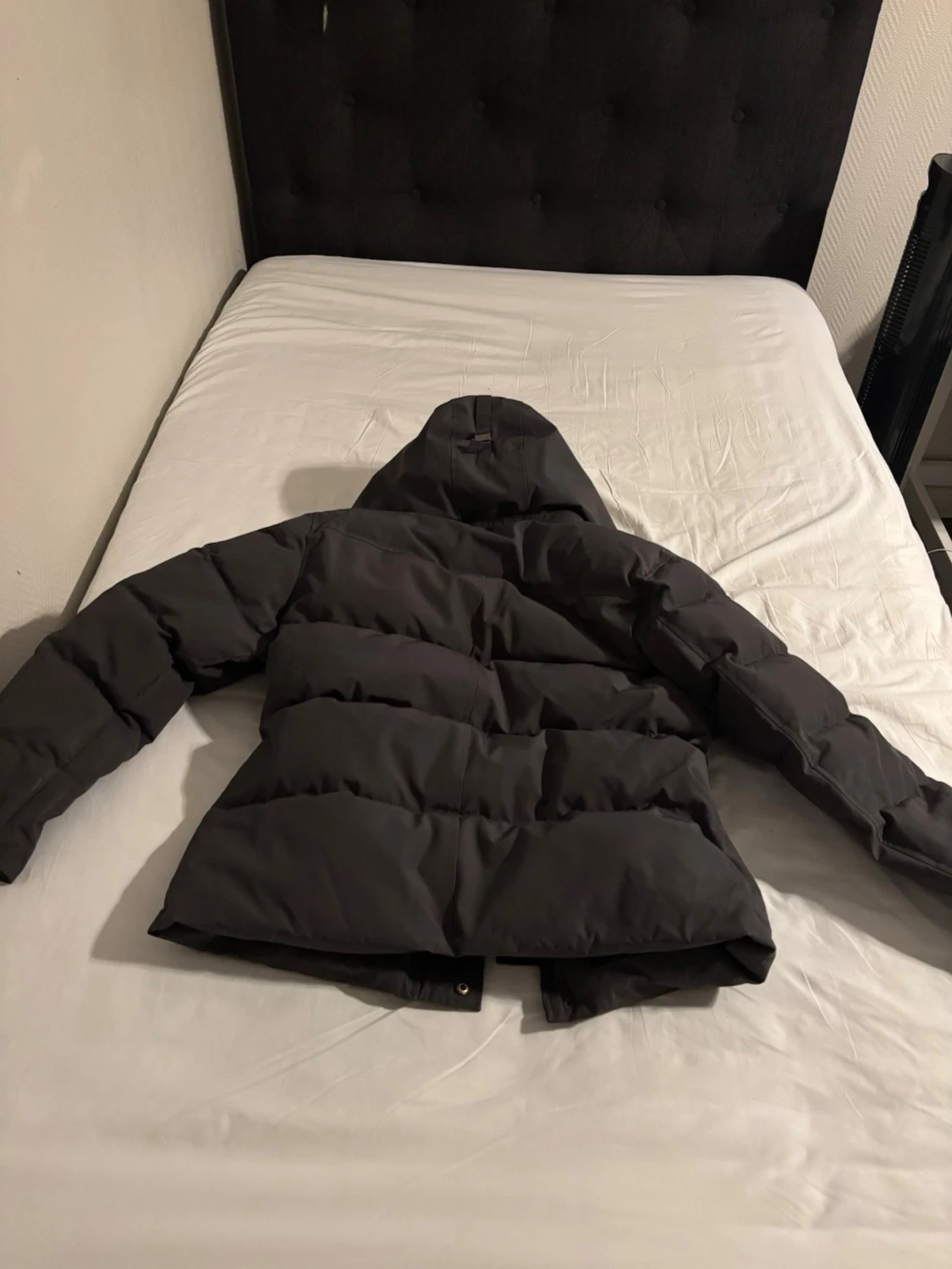 Canada goose black label - 2
