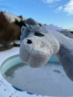 Solrosens japp - Solrosens japp e nu till salu japp e en käpphäst som e väll sydd med viselin och har stabila öron så kan vara väldigt bra till små barn men även vilken ålder som helst han ligger nu på 700 utan grimma och utrustning och 750 med in och titta på Instagram på solrosen.kappisar han e i ny skick köpt i dec/jan 
