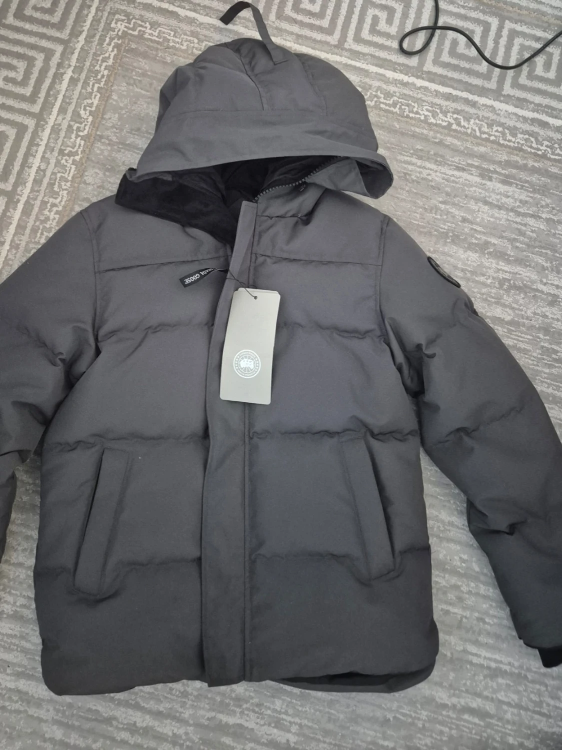 Canada Goose