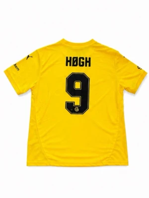 Gul Bodø Glimt matchtröja  - Helt oanvänd Bodø Glimt matchtröja med Kasper Høgh på ryggen med nummer 9. Skriv vid funderingar!