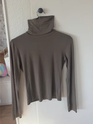 Brun/grön polotopp med lång ärm - Säljer en enkel och stilren brun/grön polotopp med lång ärm. Toppen har en hög polokrage och är tillverkad i ett mjukt och stretchigt material som sitter skönt. Andvänd en gång annars helt ny!