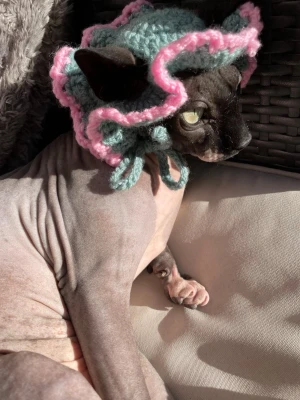 Virkad hatt till katt  - En supersöt virkad hatt till katter med snörning och hål för öronen🐈 Sista bilden visar hatten på en riktig katt och han älskar att bära den! 🎩 