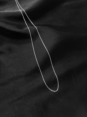 Tunt silverkedjehalsband - Tunt halsband i silver med enkel kedjedesign. Aldrig använd och i väldigt bra skick.
