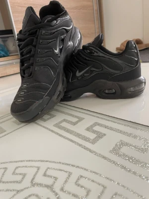 Nike TNS - Säljer ett par svarta Nike TNS sneakers med ikoniska vågiga detaljer och synlig Air-dämpning i sulan. Skorna har en blank Swoosh-logga på sidan och är tillverkade i en mix av mesh och syntetmaterial. Perfekta för dig som gillar streetwear och sportig stil.                                          Behöver sälja dessa ASAP🙏