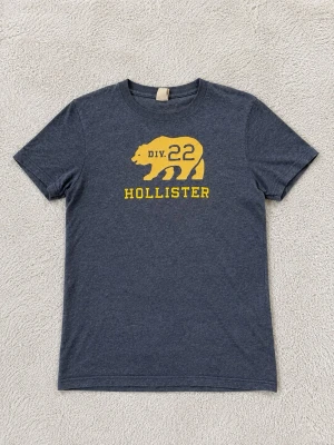 Mörkgrå Hollister t-shirt med tryck - Snygg mörkgrå t-shirt från Hollister med gul björn och texten 'DIV. 22 HOLLISTER' på bröstet. Klassisk rund hals och korta ärmar. Perfekt till jeans eller shorts för en avslappnad look.