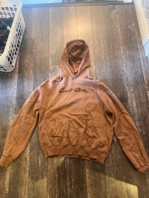 Brun hoodie med broderad text - Säljer en brun hoodie med huva och känguruficka framtill. På bröstet finns broderad text i matchande ton som ger en snygg streetwear-känsla. Hoodien har ribbade muddar vid ärmslut och nederkant. Perfekt för dig som gillar avslappnad stil. Skriv om ni har frågor!