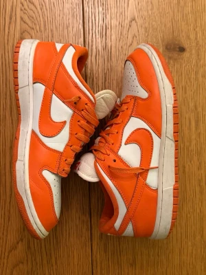 Nike SP Dunk ”Syracuse” - Nike SP Dunk ”Syracuse”, storlek 44,5, sparsamt använda!