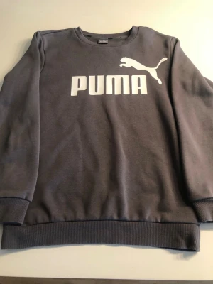 Grå sweatshirt från Puma - Mörkgrå sweatshirt från Puma med klassisk vit logga och text framtill. Tröjan har rund halsringning, ribbade muddar vid ärmslut och nederkant samt mjukt material på insidan. Perfekt för en avslappnad och sportig stil.