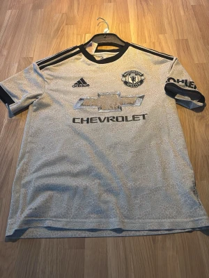 Manchester United bortatröja Rashford - Snygg Manchester United bortatröja från Adidas med Rashford och nummer 10 på ryggen. Tröjan är ljusbeige med subtilt mönster, svarta detaljer vid krage och ärmslut samt klubbmärke och sponsortryck framtill. Perfekt för fotbollsfans!