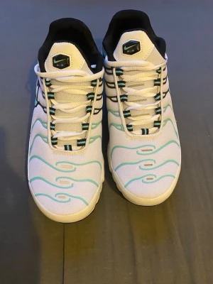 Nike Air Max Plus TM - Använd par gånger men är jättefina i som nytt skick. Pris kan diskuteras. Skriv hjärna vid funderingar och frågar!!