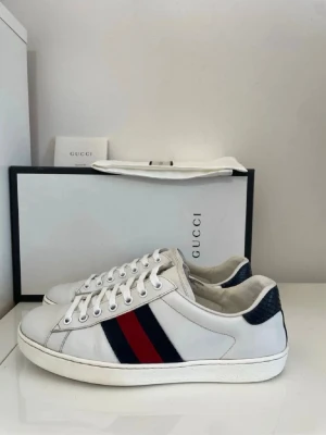 42 - Gucci ace skor. Storlek 42