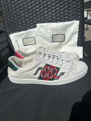 Gucci Ace Snake Skor - Gucci Ace Snake | Innersula= 29 cm| Skick: 9/10 | Nypris 11 000 kr | Dustbag och kortet ingår | Skriv vid minsta fundering | Skickas 24 h inom köp |
