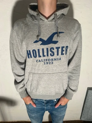 Hollister hoodie~vintage - Snygg grå hoodie från Hollister. Priset går att diskuteras vid snabbaffär. Modell är 175cm.Skriv vid minsta fundering.