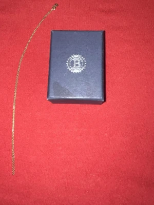 18 karat 3 gram guld halsband - Säljer ett 18 karat 3 gram guld halsband som är giort i Småland av ” the Bradford exchange” det är äkta guld kan skicka mer bilder och om ni inte blir nöjda vänligen returnera hjärtligen☺️😊