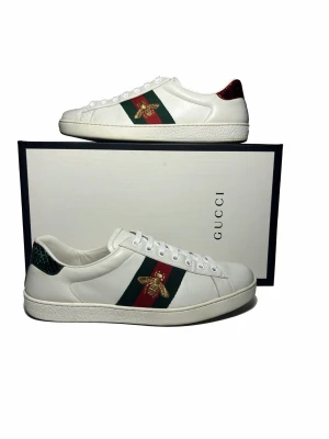 Gucci Ace - Gucci Ace sneakers. Box medföljer.