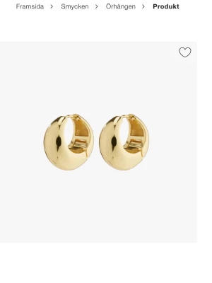 Chunky guldfärgade hoops örhängen - Säljer ett par chunky hoops örhängen i guldfärgad metall. De är från Pilgrim och använda ett fåtal gånger, därav priset!
