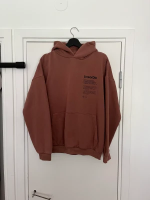 Hoodie oversize  - Brun oversize hoodie, köpt på New Yorker.