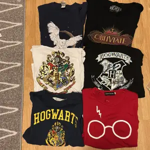 Olika Harry Potter och fantastic beasts t-shirts. I olika storlekar (Från XS-M). Vid intresse eller frågor är det bara att skriva. Alla för 240 annars olika priser på alla så hör av dig.💗