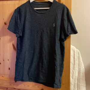 Polo Ralph Lauren T-shirt  - Polo Ralph Lauren T-shirt i storlek M. Tröjan är i använt skick, det finns inga hål eller stora märken. Tröjan har normalt slitage som fås efter användning, texten i nacken är det ända som saknas.